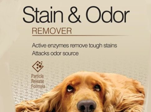 Best Pet Stain and Odor Removers